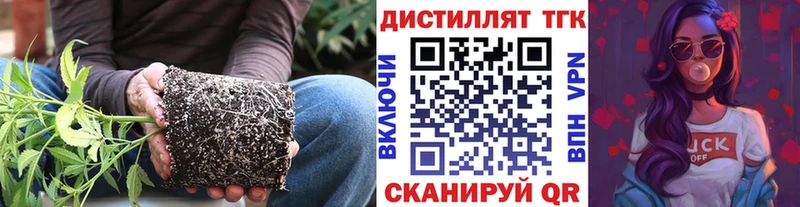 Дистиллят ТГК Wax  Куртамыш 