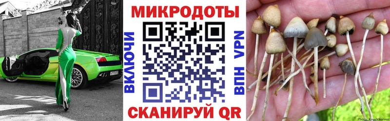 это официальный сайт  где продают   Куртамыш  Псилоцибиновые грибы MAGIC MUSHROOMS 