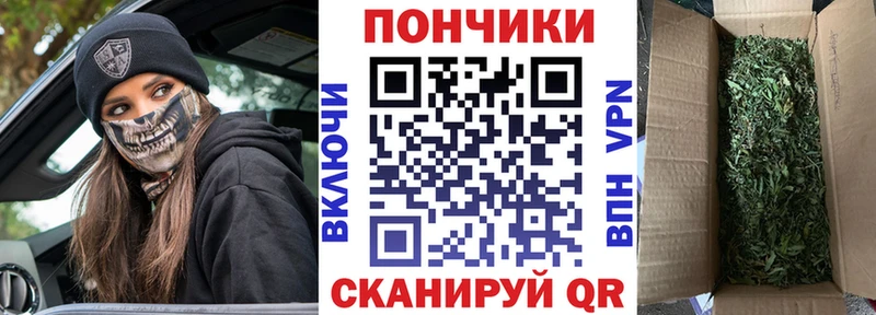 Канабис Bruce Banner  Куртамыш 